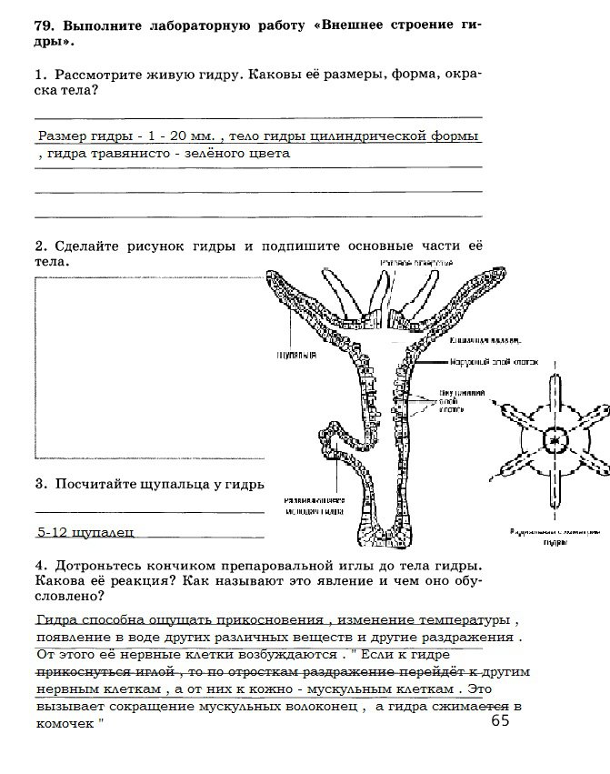 Кракен kr2web in маркетплейс