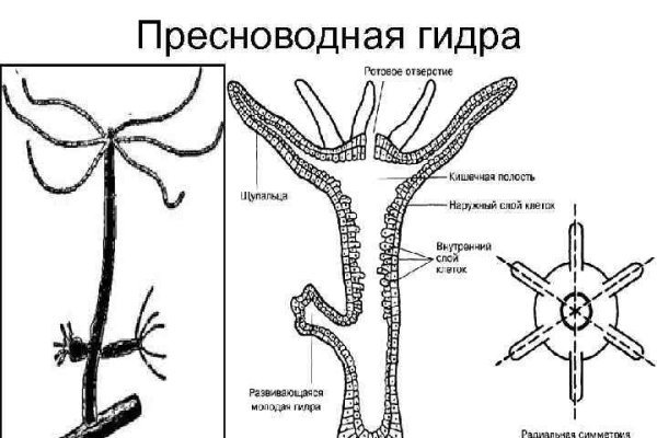 Кракен маркетплейс тор