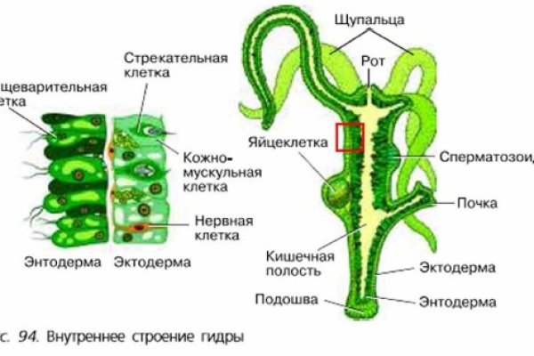 Kraken сайт зеркала krakens15 at